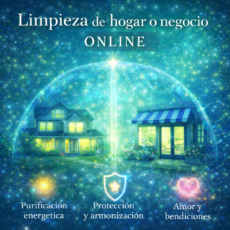 Limpieza de hogar o negocio