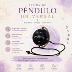 Péndulo Universal